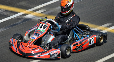 dss kart 2015