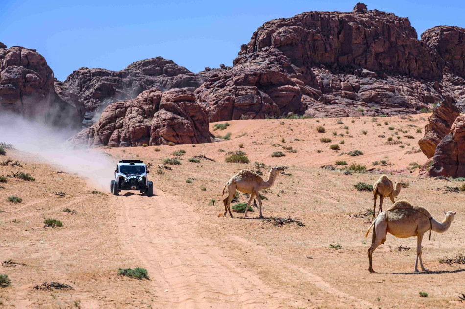 Qatar hosts the Lusail-based penultimate round of the FIA World and Middle East Baja Cups_6902cf294c016.jpeg